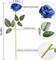 10 PCS Blue Artificial Roses Silk Fake Flowers with Long Stems Real Touch Faux Rose Bouquet for Wedding Centerpieces Home Office Hotel Party Decor